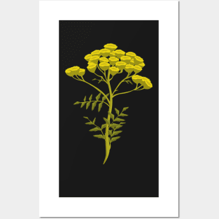 Tansy Flowers - Hand-painted Floral Artwork of the Herb Tansy Posters and Art